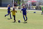 IMG_0442 (cam 0)