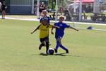 IMG_0443 (cam 0)