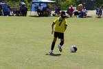 IMG_0445 (cam 0)