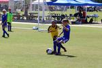 IMG_0463 (cam 0)