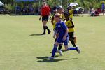 IMG_0471 (cam 0)
