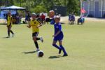 IMG_0482 (cam 0)