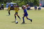 IMG_0483 (cam 0)