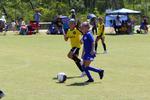 IMG_0484 (cam 0)