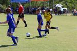 IMG_0487 (cam 0)