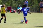 IMG_0490 (cam 0)