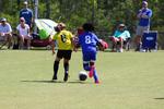 IMG_0492 (cam 0)