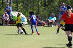 IMG_0497 (cam 0)