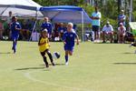 IMG_0502 (cam 0)