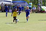 IMG_0503 (cam 0)