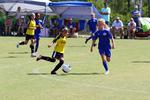 IMG_0504 (cam 0)