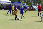 IMG_0508 (cam 0)