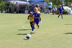 IMG_0510 (cam 0)