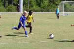 IMG_0515 (cam 0)