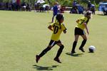 IMG_0524 (cam 0)