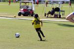 IMG_0530 (cam 0)