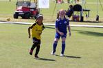 IMG_0538 (cam 0)
