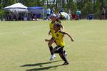 IMG_0548 (cam 0)
