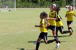 IMG_0554 (cam 0)