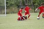 IMG_0017 (cam 0)