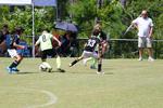 IMG_0002 (cam 0)