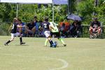 IMG_0004 (cam 0)
