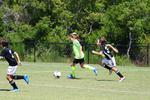 IMG_0084 (cam 0)