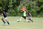 IMG_0086 (cam 0)