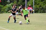IMG_0090 (cam 0)