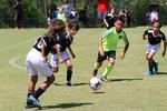 IMG_0100 (cam 0)