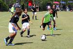 IMG_0103 (cam 0)