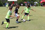 IMG_0106 (cam 0)