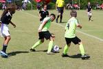IMG_0109 (cam 0)