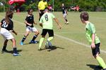 IMG_0113 (cam 0)
