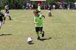 IMG_0119 (cam 0)