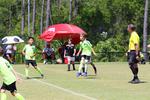 IMG_0167 (cam 0)