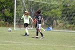 IMG_0242 (cam 0)