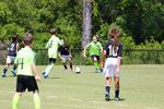 IMG_0247 (cam 0)