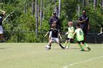 IMG_0275 (cam 0)