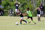 IMG_0283 (cam 0)
