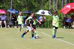IMG_0324 (cam 0)