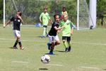 IMG_0377 (cam 0)