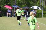 IMG_0401 (cam 0)