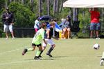 IMG_0432 (cam 0)