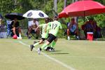 IMG_0433 (cam 0)
