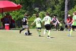 IMG_0435 (cam 0)