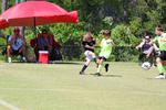 IMG_0440 (cam 0)