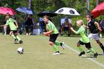 IMG_0448 (cam 0)