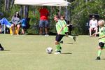 IMG_0450 (cam 0)
