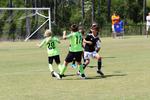 IMG_0464 (cam 0)